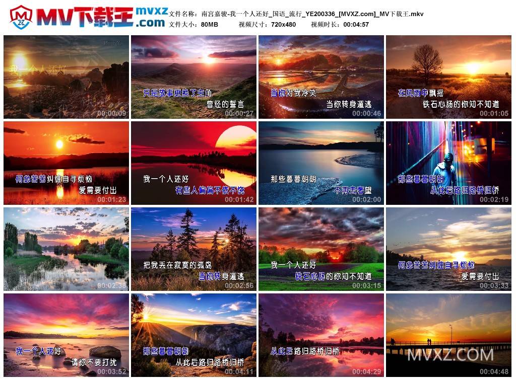 南宫嘉骏-我一个人还好_国语_流行_YE200336
